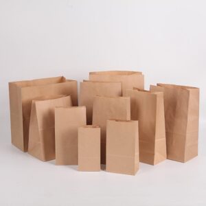 Paper bag-2